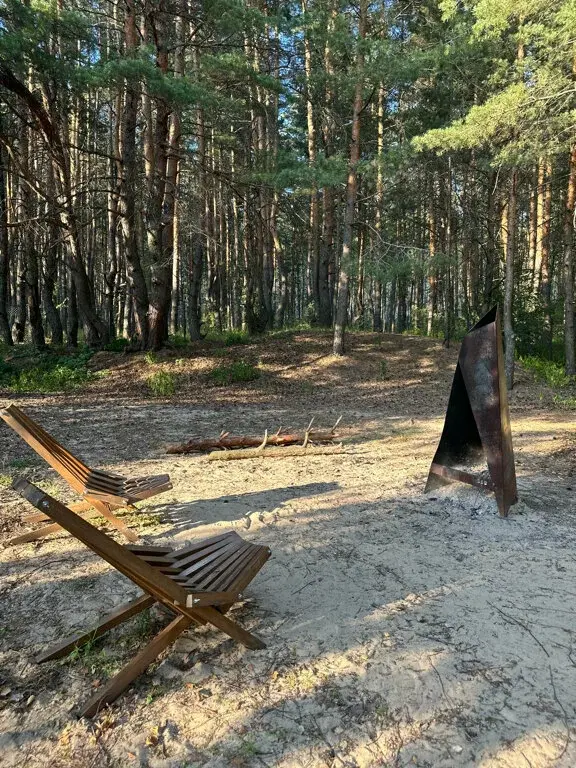 Место под соснами, Рязанская область: фото 4