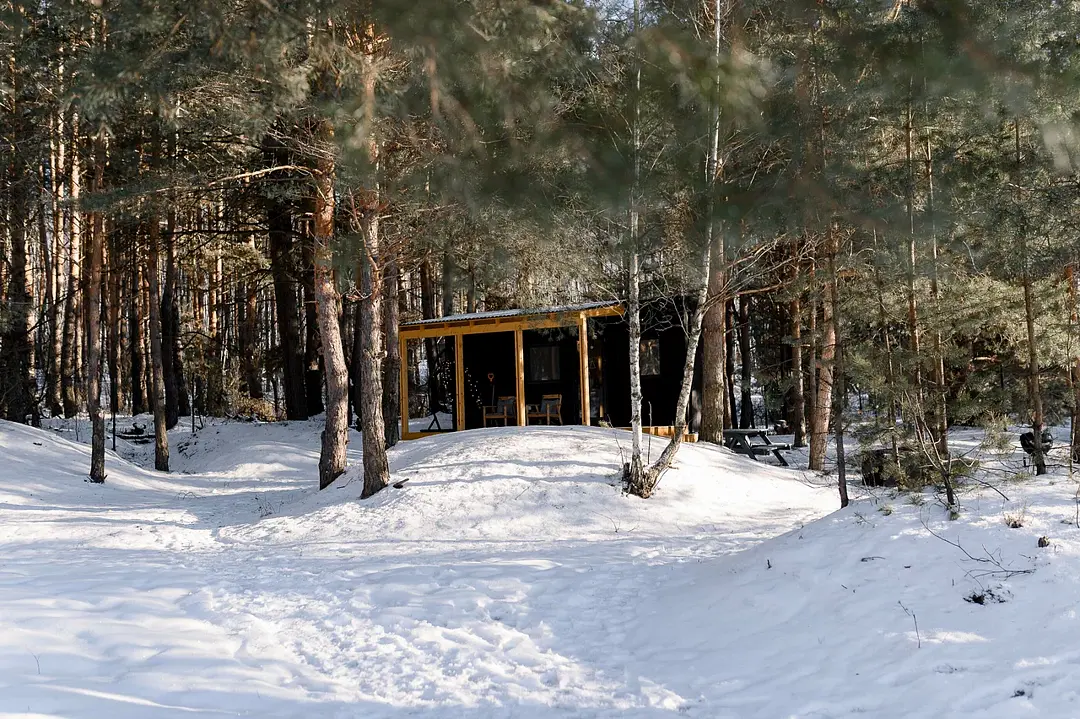 Место под соснами, Рязанская область: фото 3