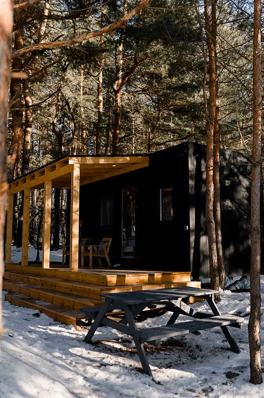 Место под соснами, Рязанская область: фото 4