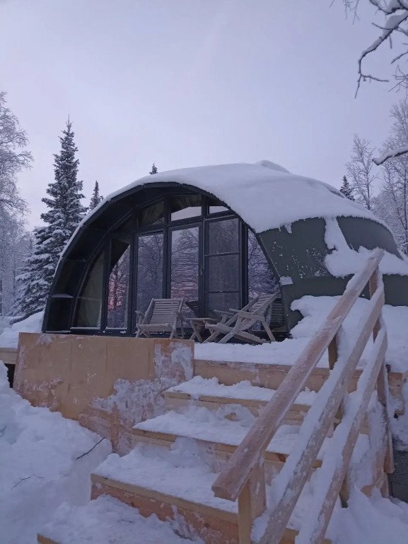 Хаски Кэмп, Мурманская область: фото 5