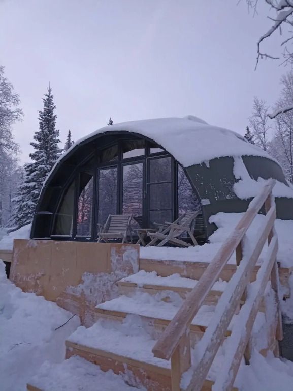 Хаски Кэмп, Мурманская область: фото 5