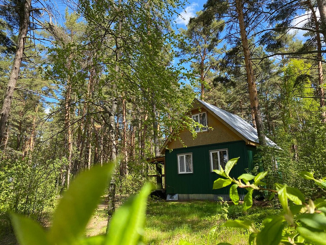 Юркинский мыс, Нижегородская область: фото 5