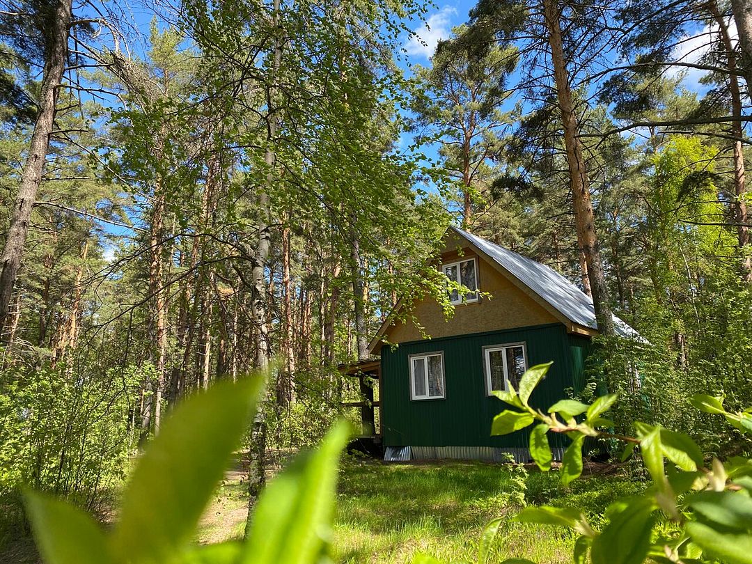 Юркинский мыс, Нижегородская область: фото 5