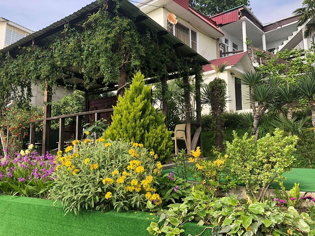 Гостевой дом Апельсин, Краснодарский край, Лоо Сочи Вардане Волконка Мамайка Дагомыс Якорная щель