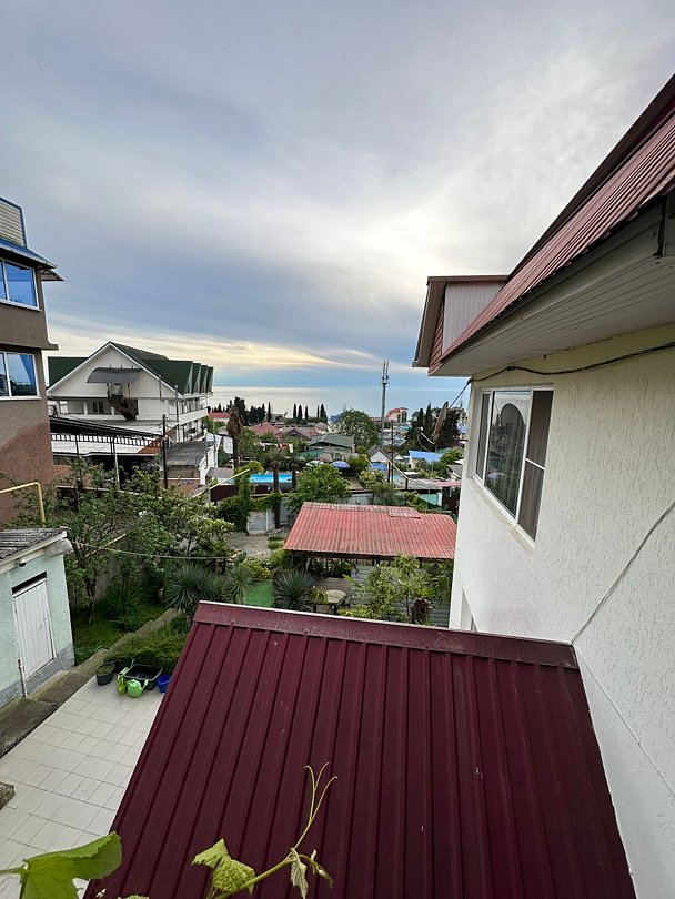 Апельсин, Краснодарский край: фото 2