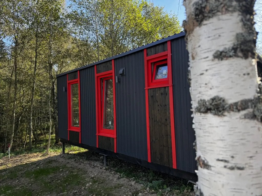 Икс-Лес, Московская область: фото 2