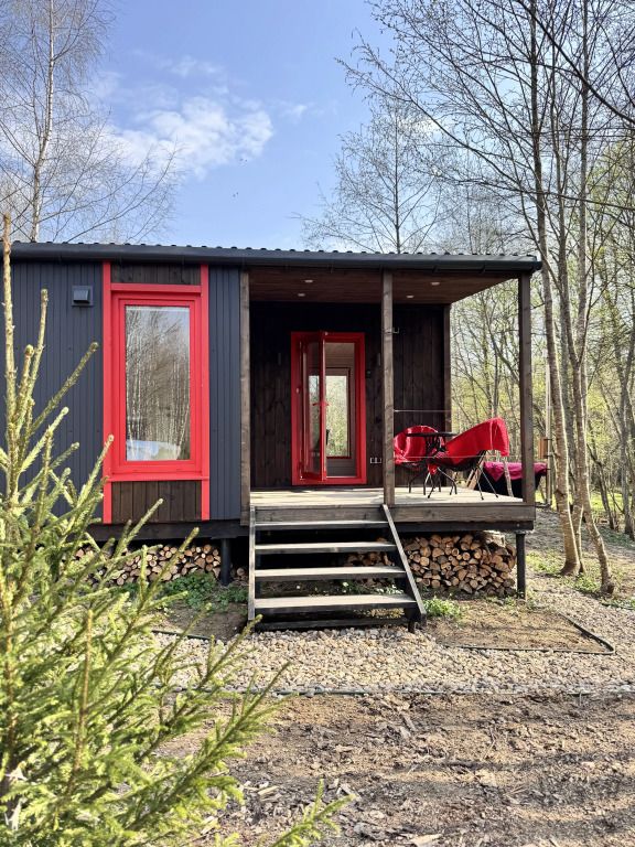 Икс-Лес, Московская область: фото 3