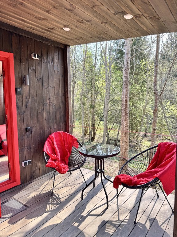 Икс-Лес, Московская область: фото 4