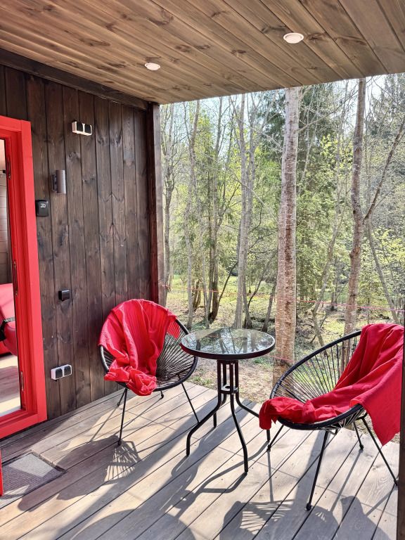 Икс-Лес, Московская область: фото 4