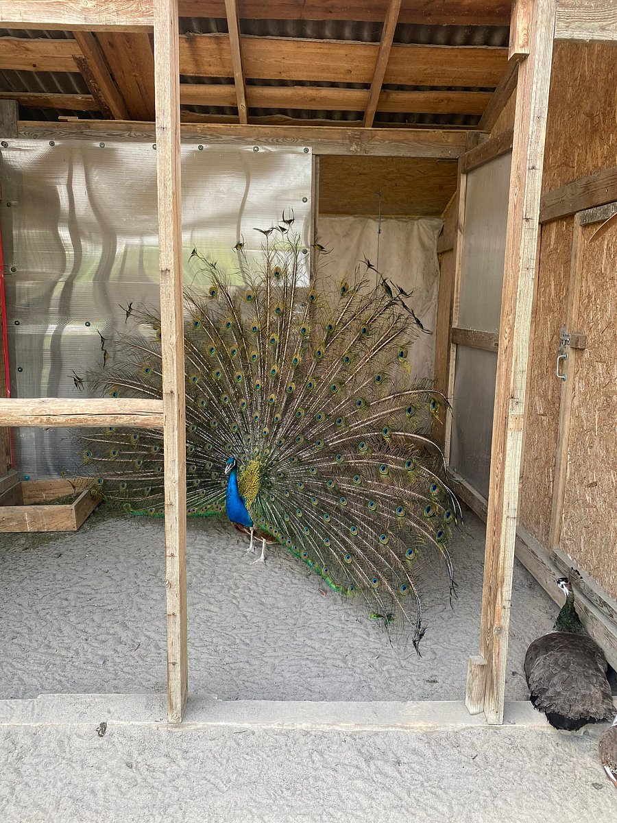 Фото 26 из отзыва о базе отдыха Философия отдыха