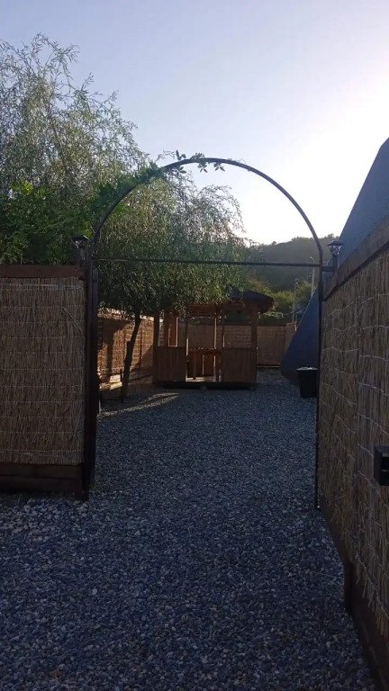 Ёлки-Иголки, Республика Адыгея: фото 3