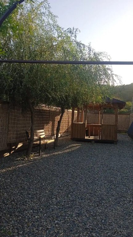 Ёлки-Иголки, Республика Адыгея: фото 4