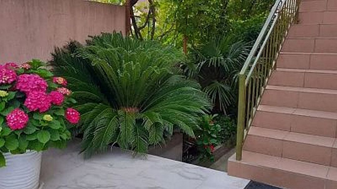 Черноморская жемчужина, Краснодарский край: фото 4