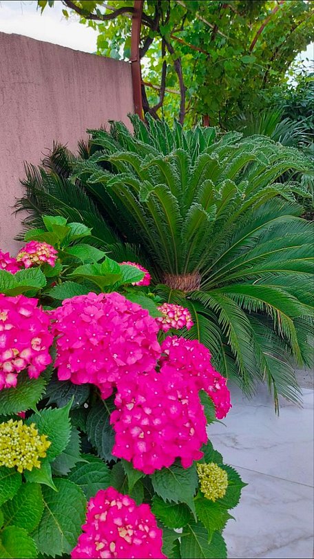 Черноморская жемчужина, Краснодарский край: фото 5