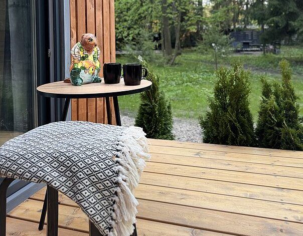 Дом и Елки, Московская область: фото 2