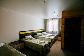 Стандарт. Семейный корпус, Загородный клуб Донской Лес, Задонск