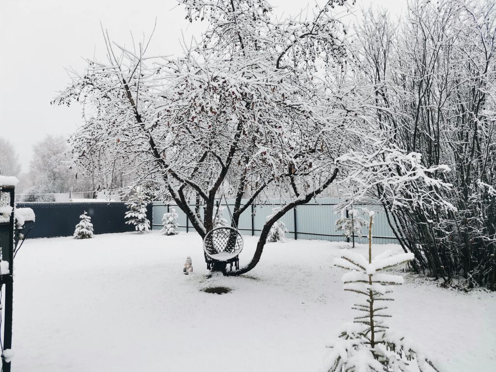 Глэмпинг Black House, Тюменская область: фото 3
