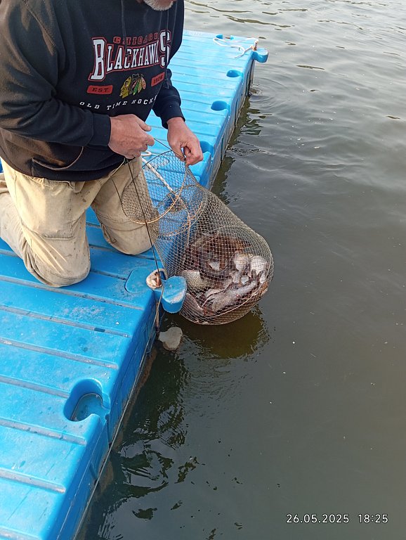 Фото из отзыва от 23.05.2025