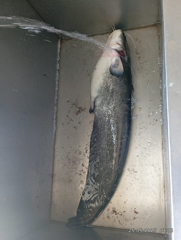 Фото из отзыва от 23.05.2025