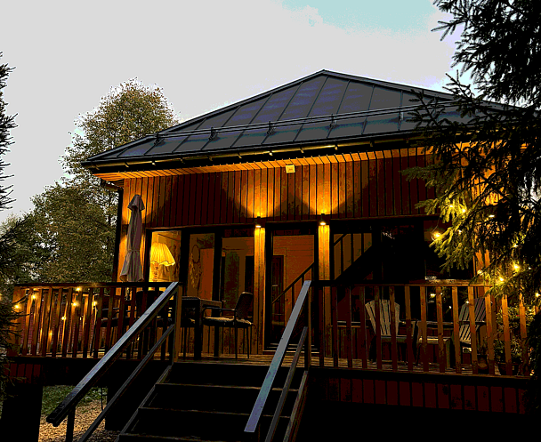 Дом и Елки, Московская область: фото 4