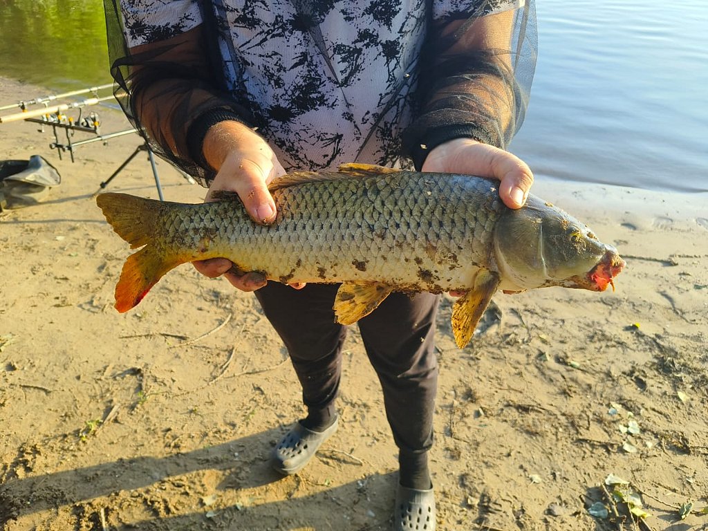 Фото из отзыва от 31.05.2025