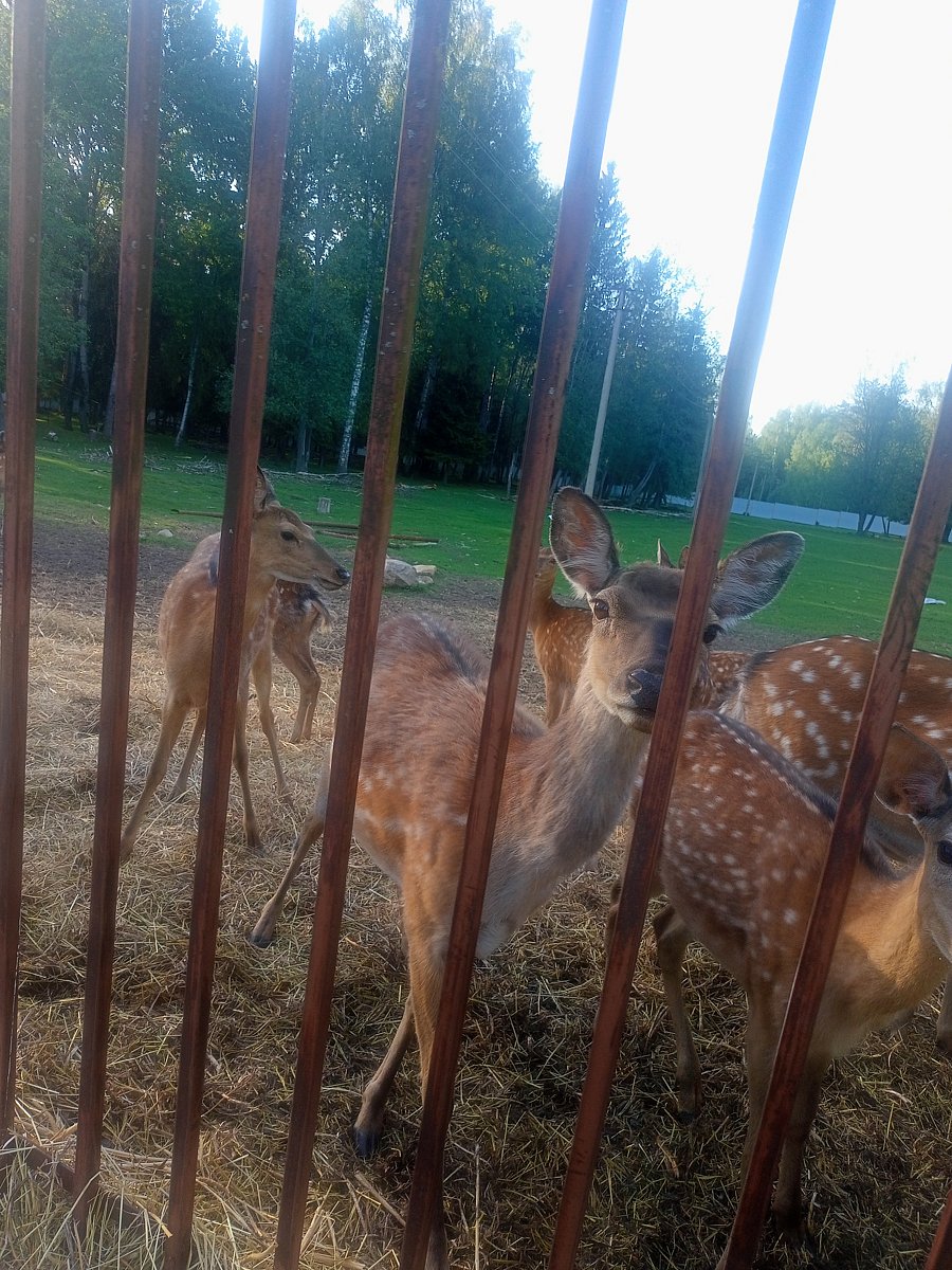 Фото 10 из отзыва о рыболовно-охотничьей базе Ухра