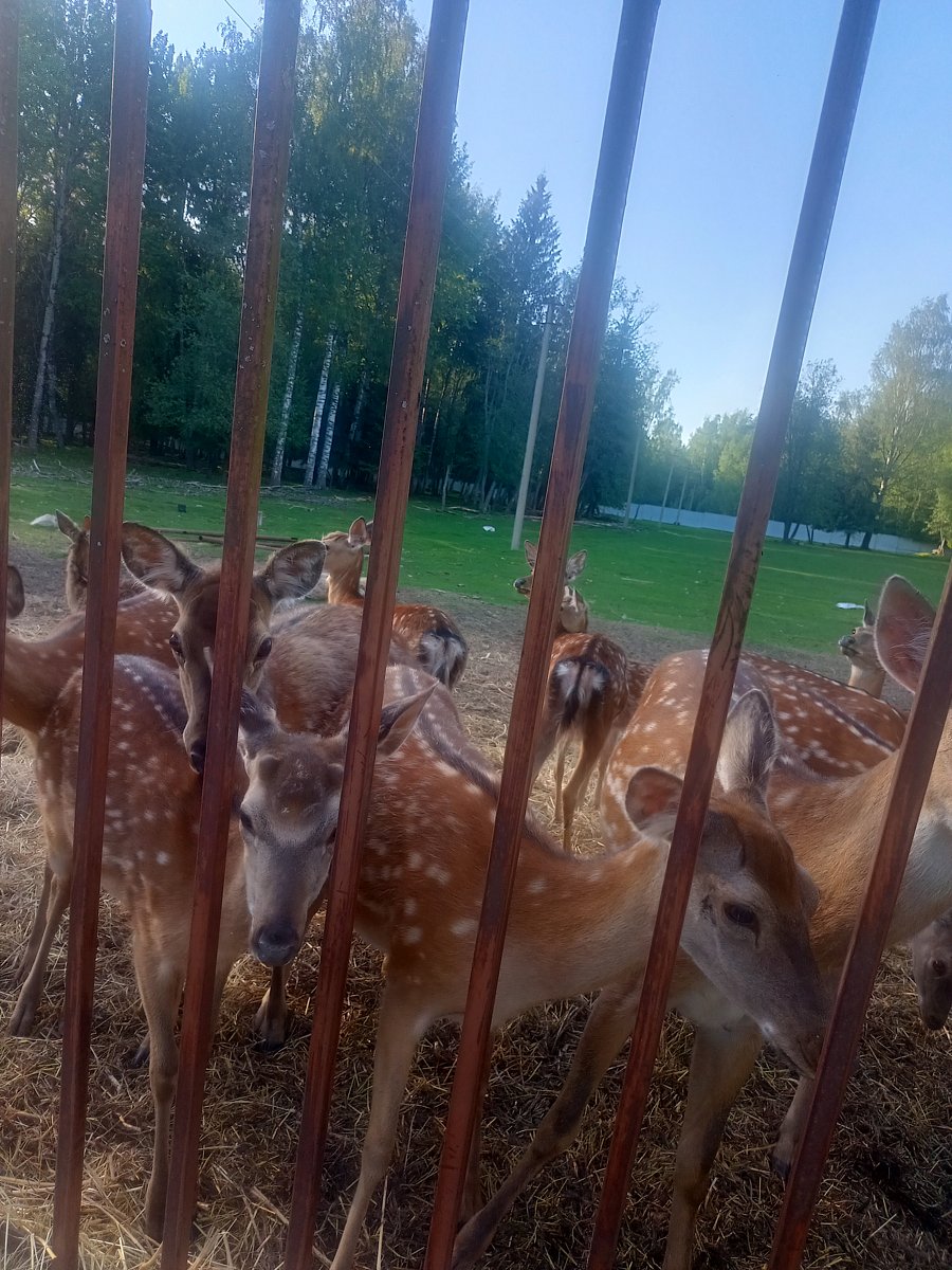 Фото 9 из отзыва о рыболовно-охотничьей базе Ухра