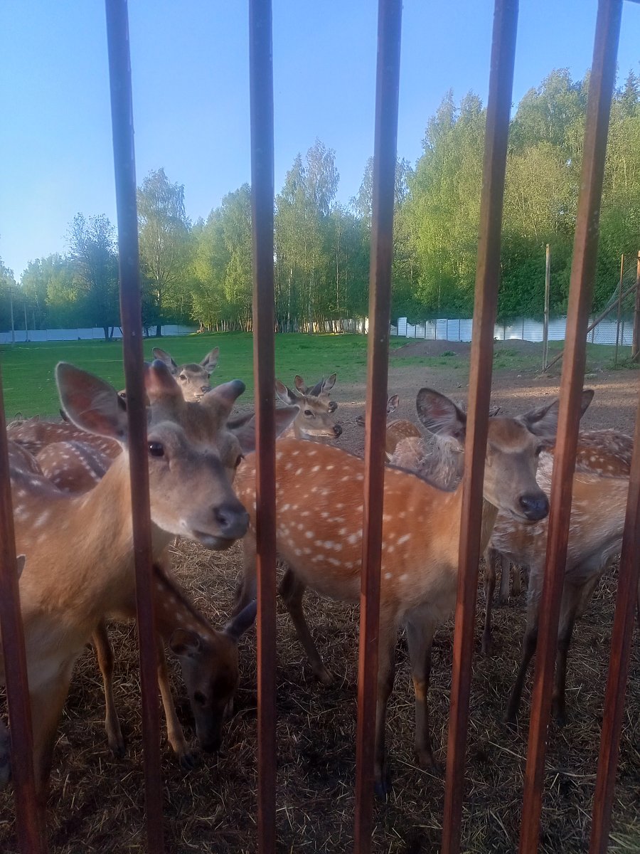 Фото 11 из отзыва о рыболовно-охотничьей базе Ухра