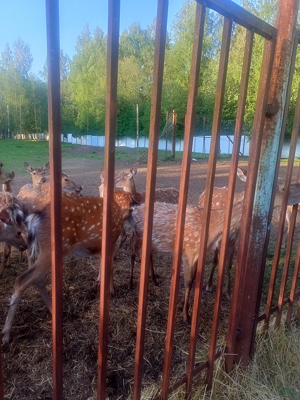 Фото 4 из отзыва о рыболовно-охотничьей базе Ухра