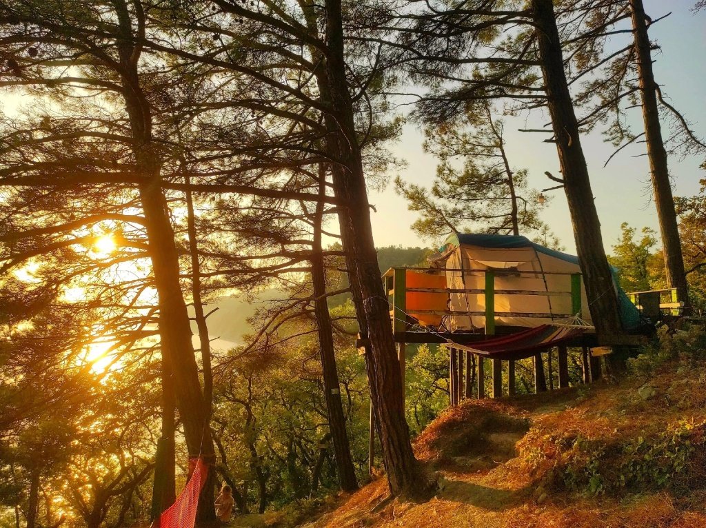 Енот-Архипо-Осиповка, Краснодарский край: фото 2