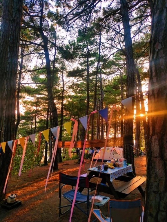 Енот-Архипо-Осиповка, Краснодарский край: фото 3