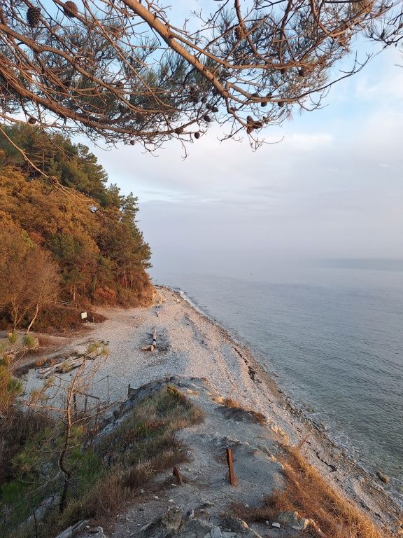 Енот-Архипо-Осиповка, Краснодарский край: фото 4