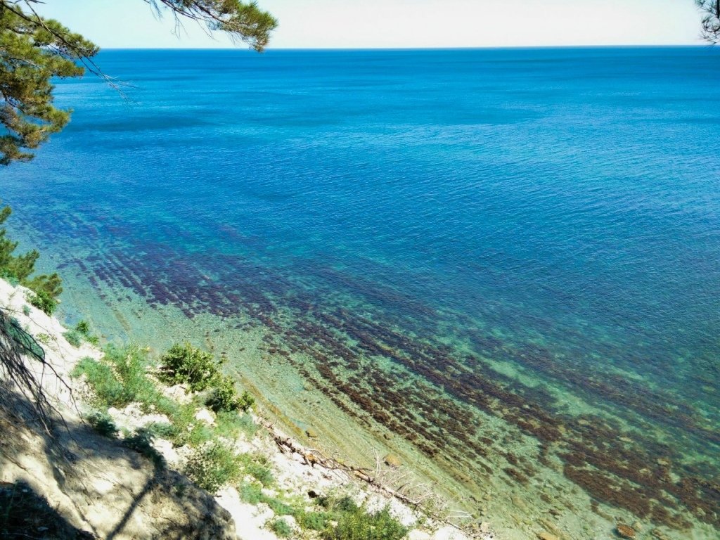 Енот-Архипо-Осиповка, Краснодарский край: фото 5