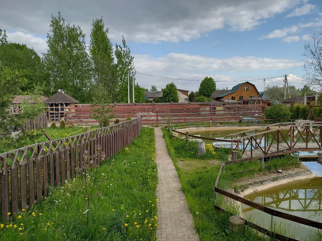 Печки-лавочки, Московская область: фото 2