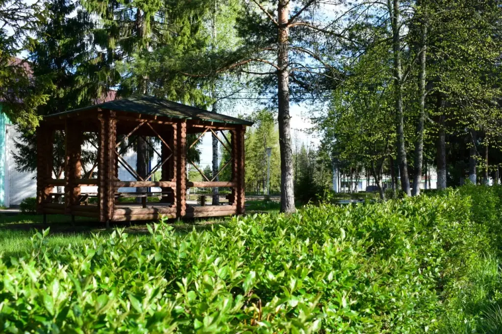 База Отдыха Сахареж, Ярославская область: фото 4