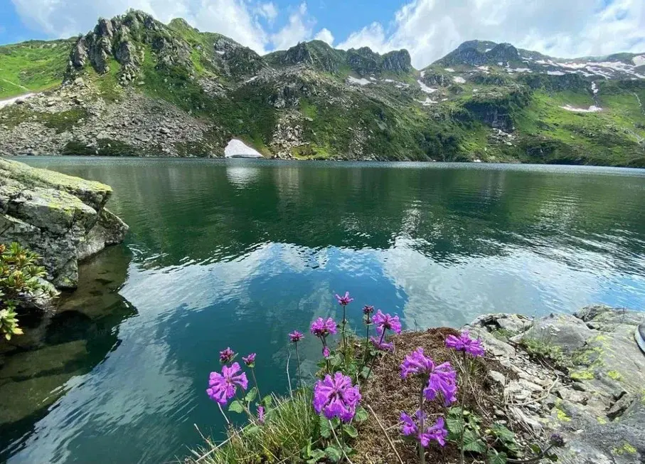 База Отдыха Адзгара, Гулрыпшский район: фото 4