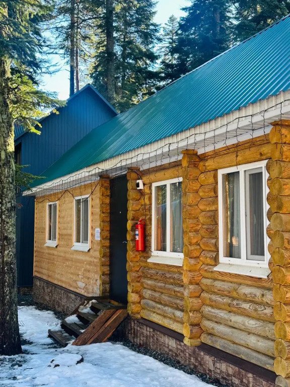 Пихтовый парк, Республика Карачаево-Черкесия: фото 2