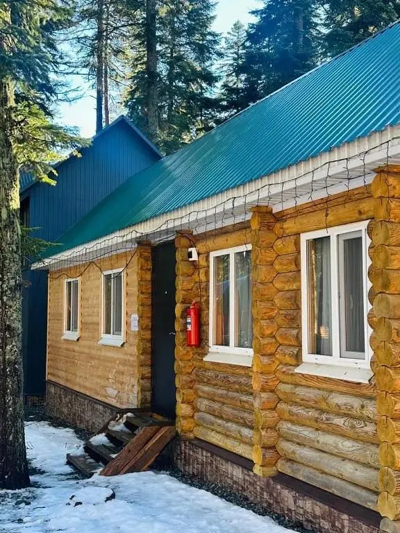 Пихтовый парк, Республика Карачаево-Черкесия: фото 2