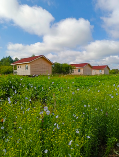 Глэмпинг Карловка, Успенское сельское поселение, Новгородская область