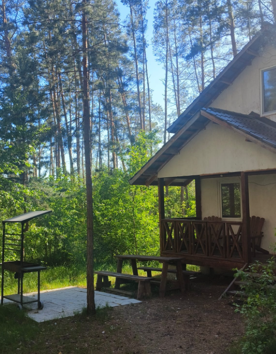 Лес, Самарская область: фото 3