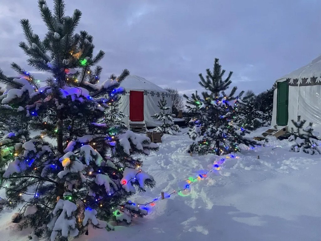 Глэмпинг Бурятская юрта Алтын Сарай, Московская область: фото 4