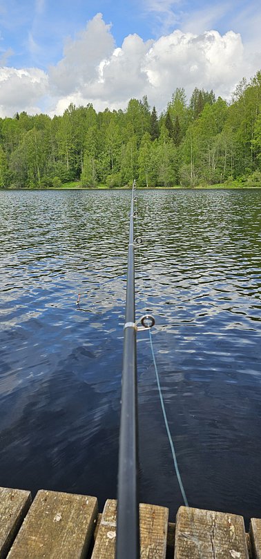 Фото 2 из отзыва о базе отдыха Лесное озеро