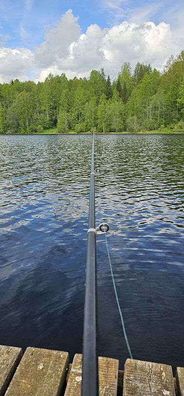 Фото 2 из отзыва о доме в аренду Лесное озеро