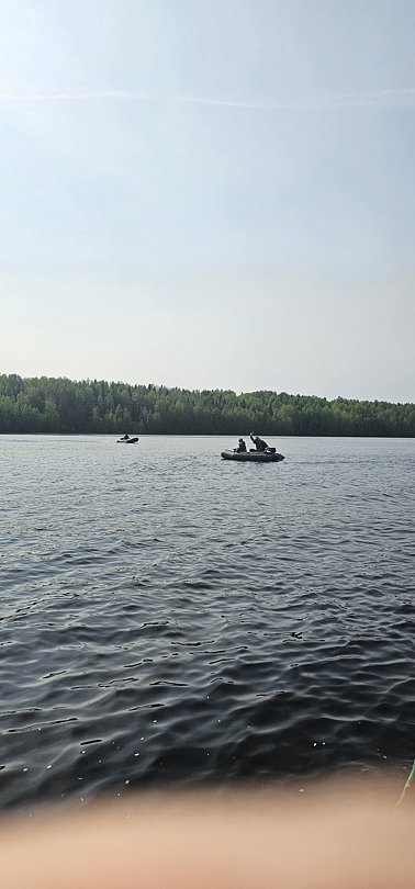 Фото 5 из отзыва о базе отдыха Лесное озеро