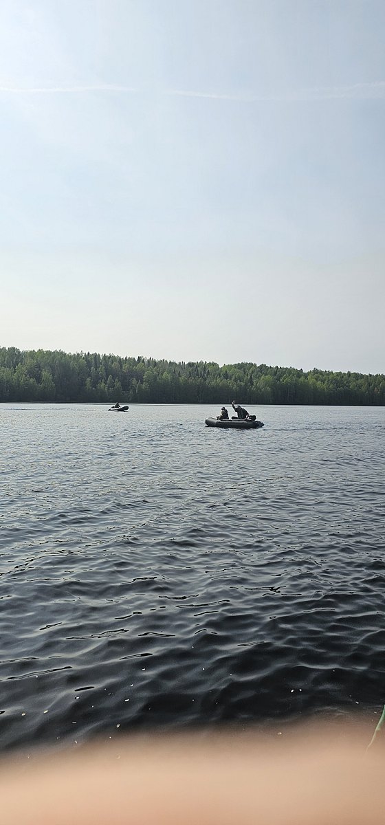 Фото 27 из отзыва о базе отдыха Лесное озеро