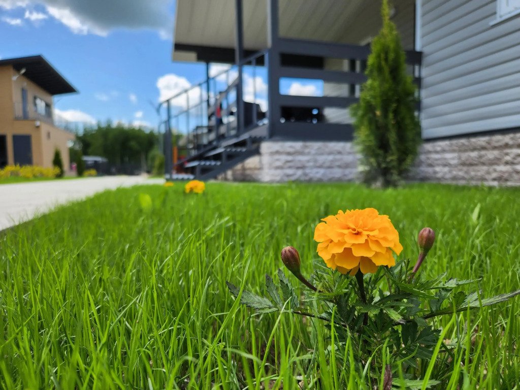 Поплавки Клуб, Московская область: фото 4