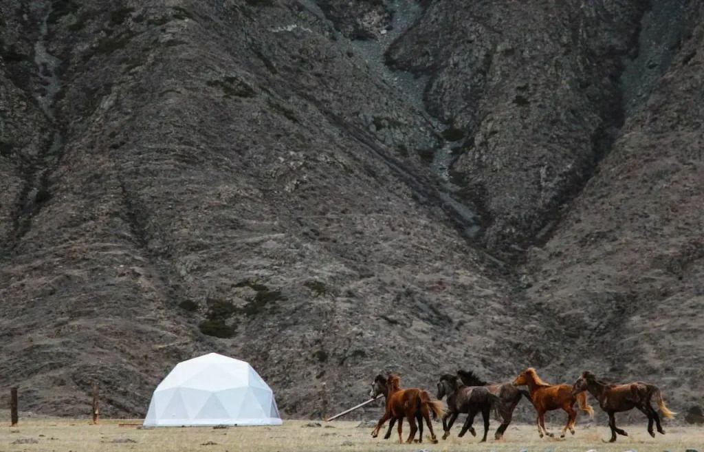 Brosko Terra, Алтайский край: фото 2
