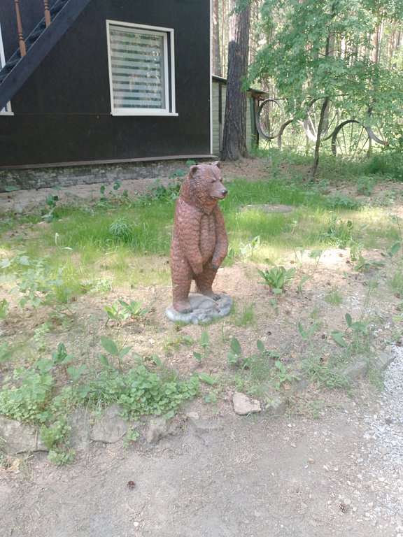 Фото из отзыва от 07.06.2025