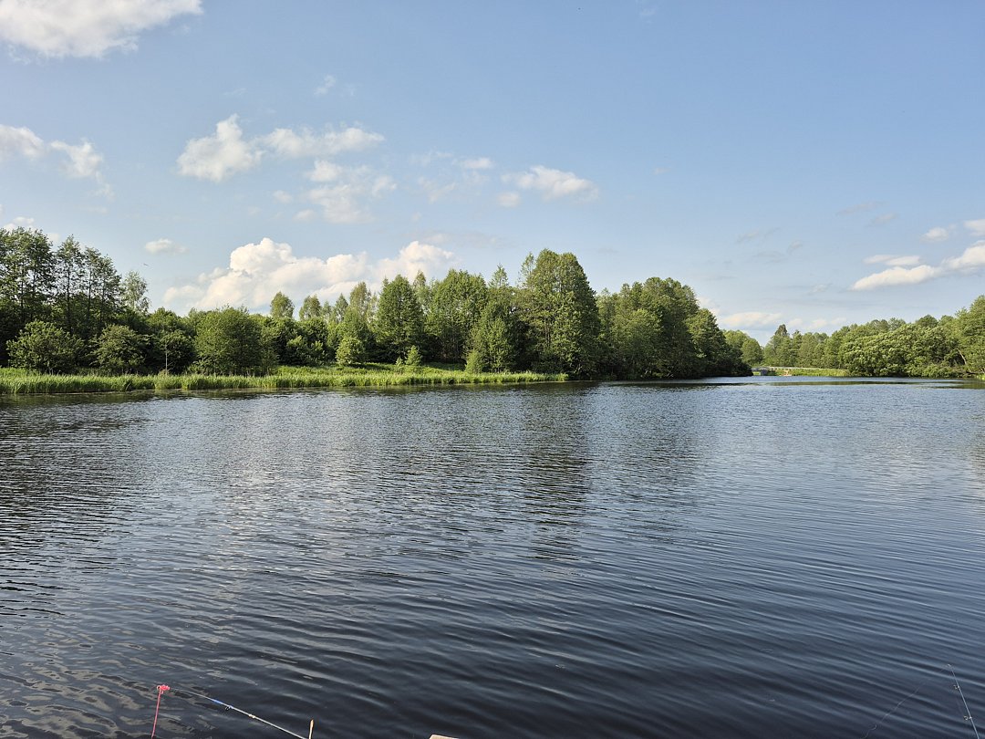 Фото 1 из отзыва о доме в аренду Колпино