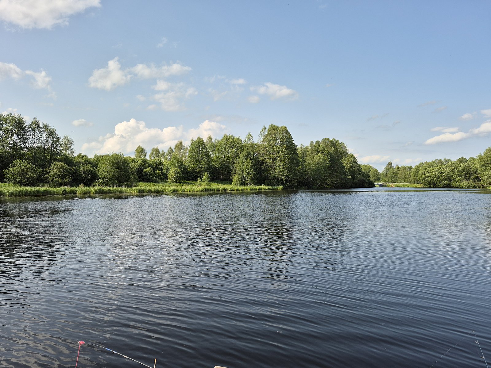 Фото 6 из отзыва о доме в аренду Колпино